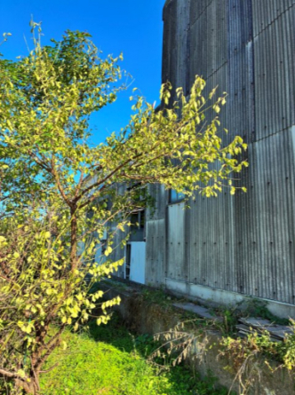 敷地北西側境界付近