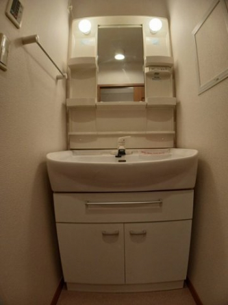 忙しい朝には欠かせない洗面所です