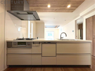 シンプルなデザインと使いやすさを兼ね備えた対面式システムキッチンは、効率的な作業スペースを提供し、家族やゲストとのコミュニケーションを促進します。