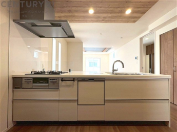 シンプルなデザインと使いやすさを兼ね備えた対面式システムキッチンは、効率的な作業スペースを提供し、家族やゲストとのコミュニケーションを促進します。