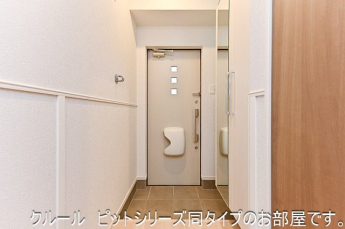 明るい玄関です