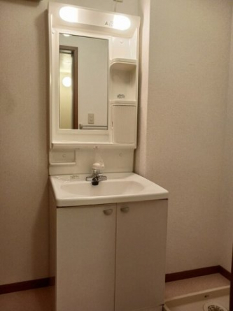 忙しい朝には欠かせない洗面所です