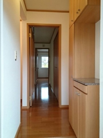 落ち着いた玄関です