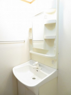 忙しい朝には欠かせない洗面所です