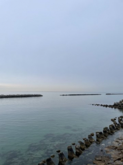 郡家の海の前3階建鉄筋の画像