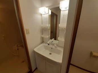 ゆったりとスペースのある洗面所