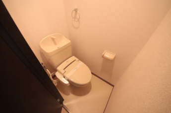 落ち着いた色調のトイレです