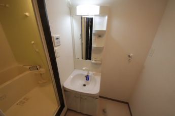 スペースが確保できる洗面所です