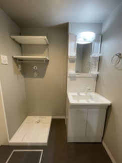 スペースが確保できる洗面所です