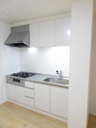 ルペ・ヤシロⅢの画像