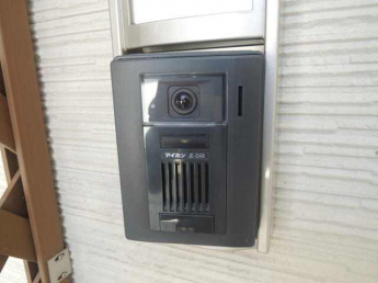 ＰＬＡＮＴの画像