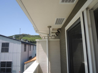 ＰＬＡＮＴの画像