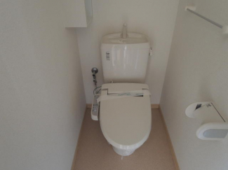 ＰＬＡＮＴの画像