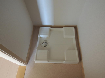 ＰＬＡＮＴの画像