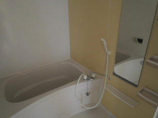 ＰＬＡＮＴの画像