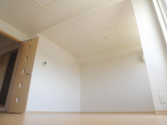 ＰＬＡＮＴの画像