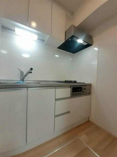 プランドールホリの画像