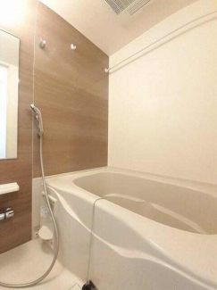 プランドールホリの画像