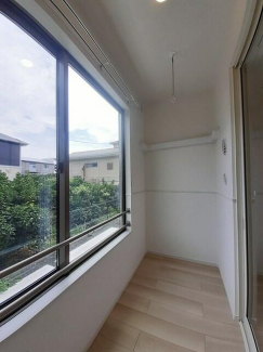 プランドールホリの画像