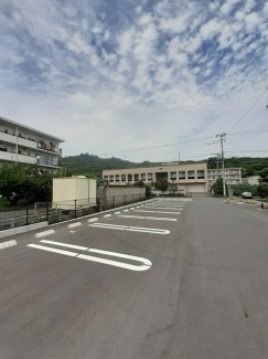 プランドールホリの画像