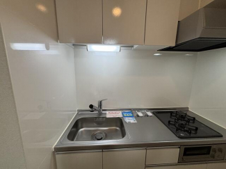 プランドールホリの画像