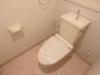 落ち着いた色調のトイレです