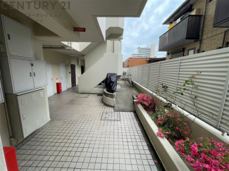 共用部に植栽がございます♪