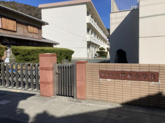 伊方小学校まで250m