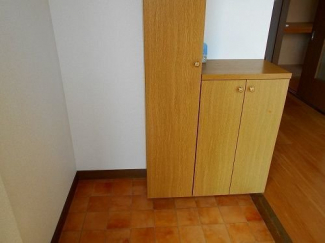 落ち着いた玄関です