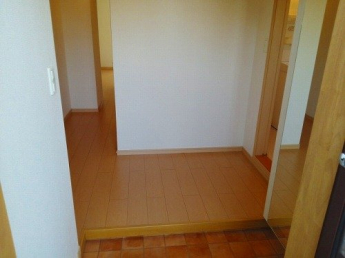 きれいな玄関です