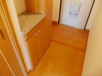 落ち着いた玄関です