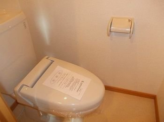 落ち着いた色調のトイレです