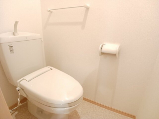 落ち着いた色調のトイレです