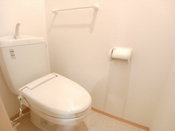 落ち着いた色調のトイレです