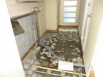 オクタワーズ松山道後の画像