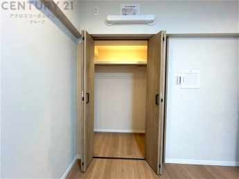 衣類やアクセサリー、小物類の収納が便利で整理整頓がしやすく、部屋の美観を保ちつつ、スペースを最大限に活用できます。衣服のしわやダメージを防ぎ、長持ちさせることができます。