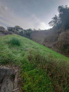今治市国分１丁目の売地の画像