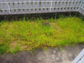 駐車スペースもあります