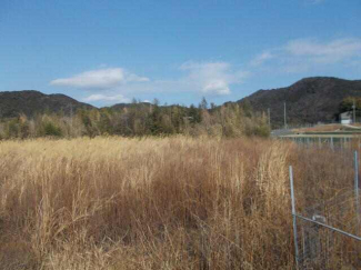 ２０２６年２月７日撮影