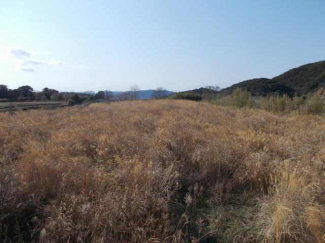 ２０２６年２月７日撮影