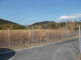 ２０２６年２月７日撮影