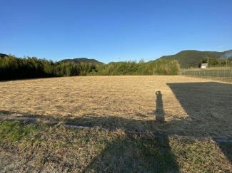 ２０２１年～２０２２年ごろ撮影