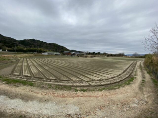 ２０２１年～２０２２年ごろ撮影