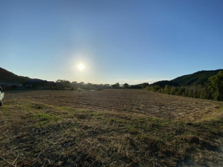 ２０２１年～２０２２年ごろ撮影