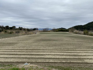 ２０２１年～２０２２年ごろ撮影