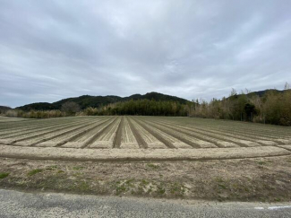 ２０２１年～２０２２年ごろ撮影