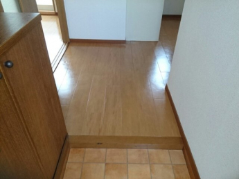 落ち着いた玄関です