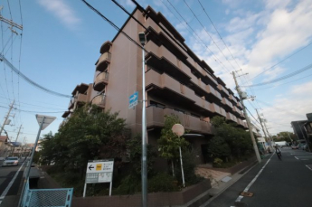 外観は落ち着いています