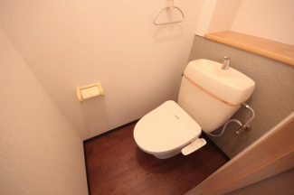 落ち着いた色調のトイレです