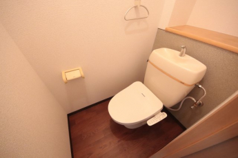 落ち着いた色調のトイレです